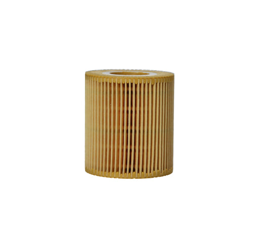 Elemento Filtro de Aceite BMW 316i 1.6 Gasolina 2007 - 2011