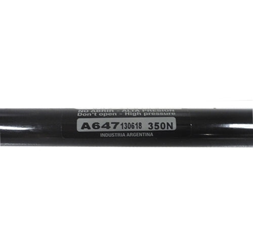 Par de Amortiguadores Delanteros Ford Focus 2000-2010
