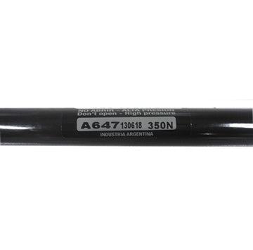 Par de Amortiguadores Delanteros Ford Focus 2000-2010
