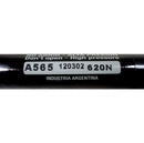 Par de Amortiguadores Portalon Renault 19 1994-1999-5