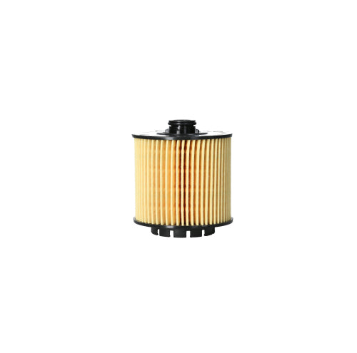 Elemento Filtro de Aceite Geely Coolray 1.5 Diesel 2022 - 2025