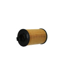 Elemento Filtro de Aceite Foton G7 2.0 Diesel 2022 - 2024-4