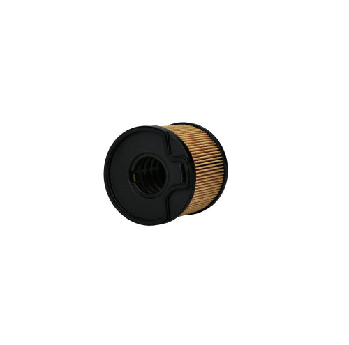 Filtro de Petróleo Secundario Peugeot 406 2.0 Diesel 2002 - 2005
