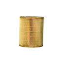 Elemento Filtro de Aceite Ford F150 3.0 2023 - 2024-4