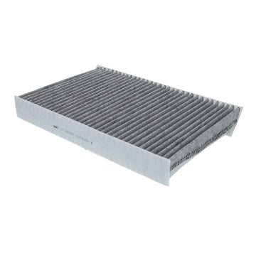 Filtro de Polen Renault Megane 2.0 Gasolina 2010 - 2016