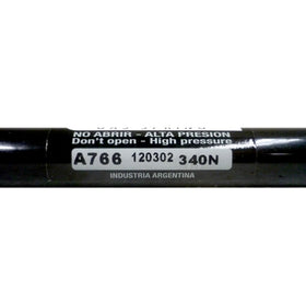 Par de Amortiguadores Portalon Renault Clio 2000-2008