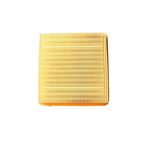 Filtro de Aire Geely Coolray 1.5 Gasolina 2022 - 2024