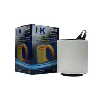 Filtro de Aire BMW 116i 1.6 Gasolina 2005 - 2012