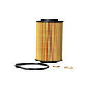 Elemento Filtro de Aceite Kia Carens 2.0 Diesel 2006 - 2012-2