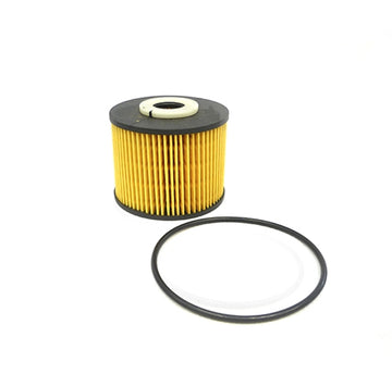 Elemento Filtro de Petróleo Citroen C4 2.0 Diesel 2010 - 2015