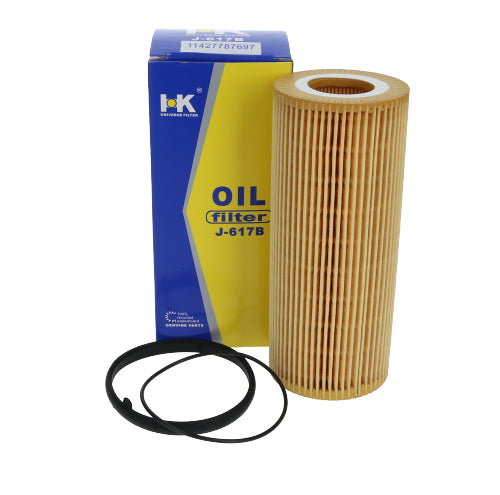 Elemento Filtro de Aceite BMW 120d 2.0 Gasolina 2005 - 2012