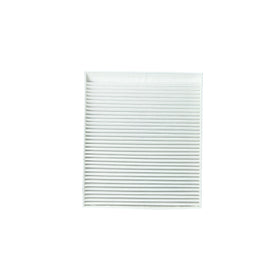 Filtro de Polen Renault Scenic 2.0 Gasolina 1999 - 2009 - 0
