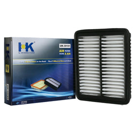 Filtro de Aire Hyundai Eqqus 800 Gasolina 2013 - 2017