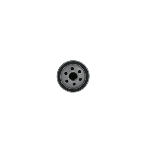 Filtro de Aceite Nissan Terrano 2.5 Diesel 2004 - 2014