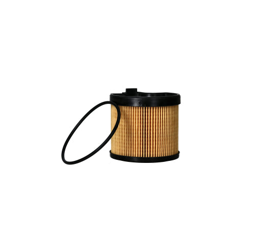 Elemento Filtro de Petróleo Peugeot 307 2.0 Diesel 2002 - 2006