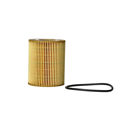 Elemento Filtro de Aceite Ford F150 3.0 2023 - 2024