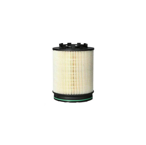 Elemento Filtro de Petróleo Ford Raptor 2.0 Diesel 2020 - 2024