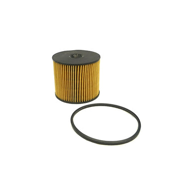 Elemento Filtro de Petróleo Peugeot 406 2.0 Diesel 2002 - 2005
