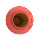 Filtro de Aire Peugeot Boxer 2.0 Diesel 2002 - 2009-2